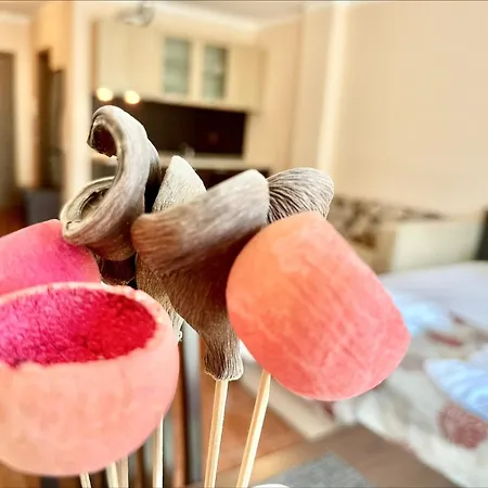 Menada Sunny Plaza * Sunny Beach