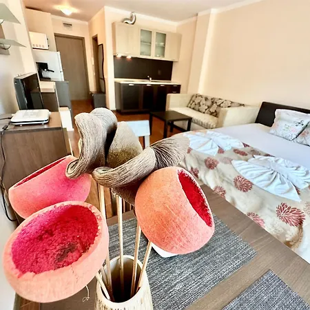 Menada Sunny Plaza Apartment